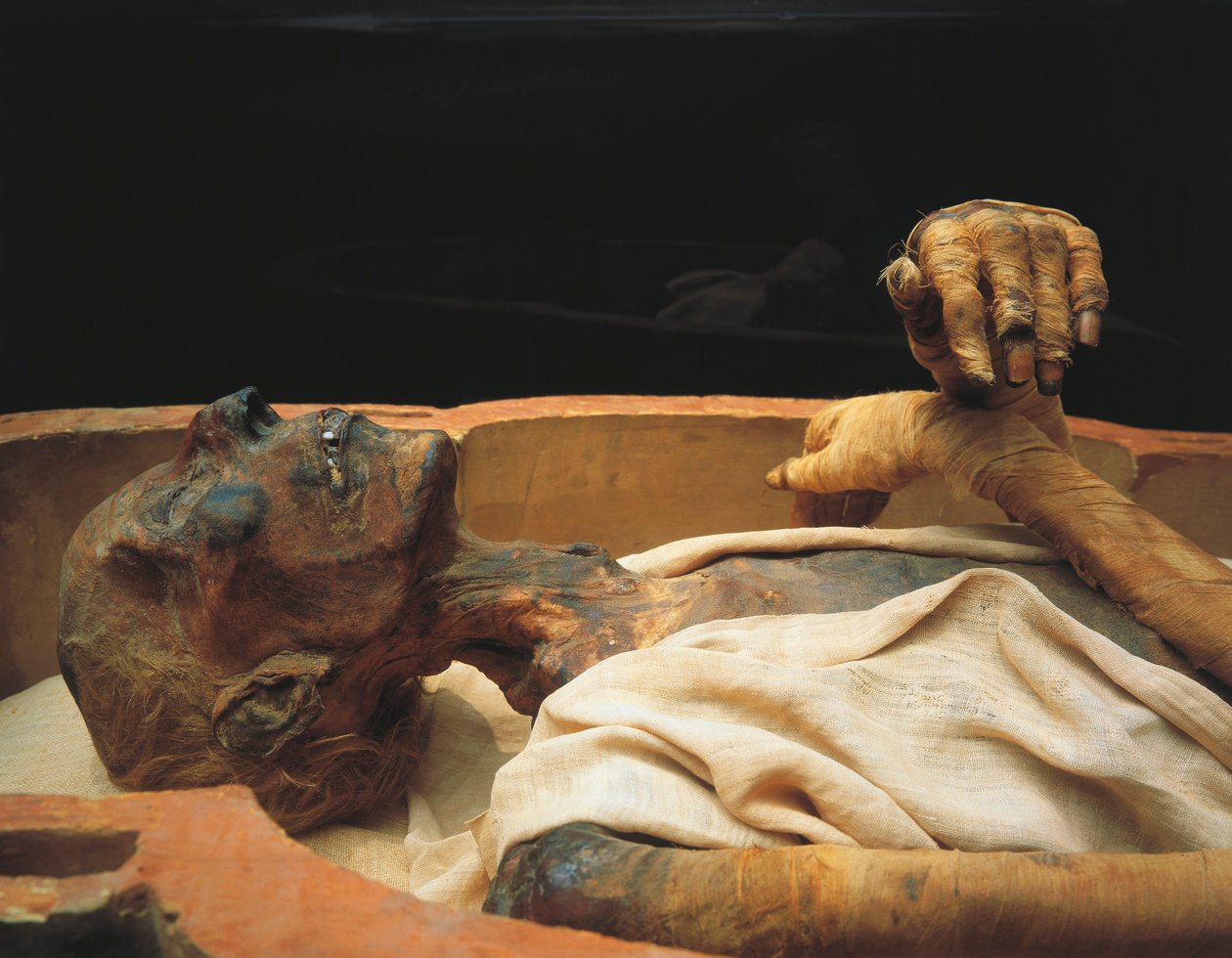 Mumie Ramsese II, detail od Egyptian 19th Dynasty