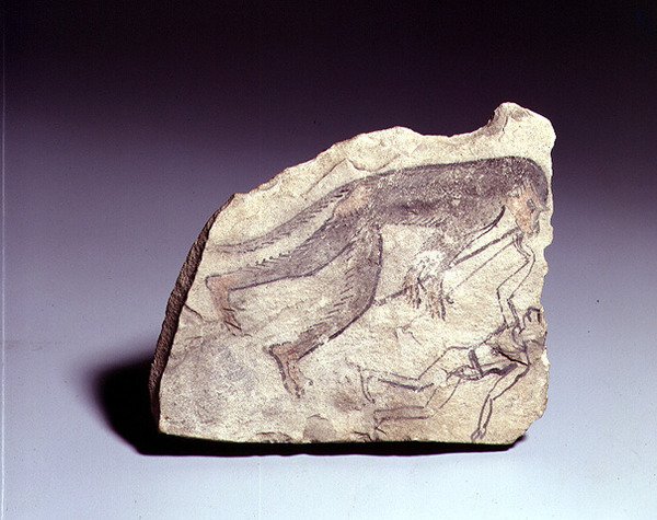 Ostracon s postavou opice hrající na flétnu, Nová říše (malovaný vápenec) od Egyptian 19th Dynasty