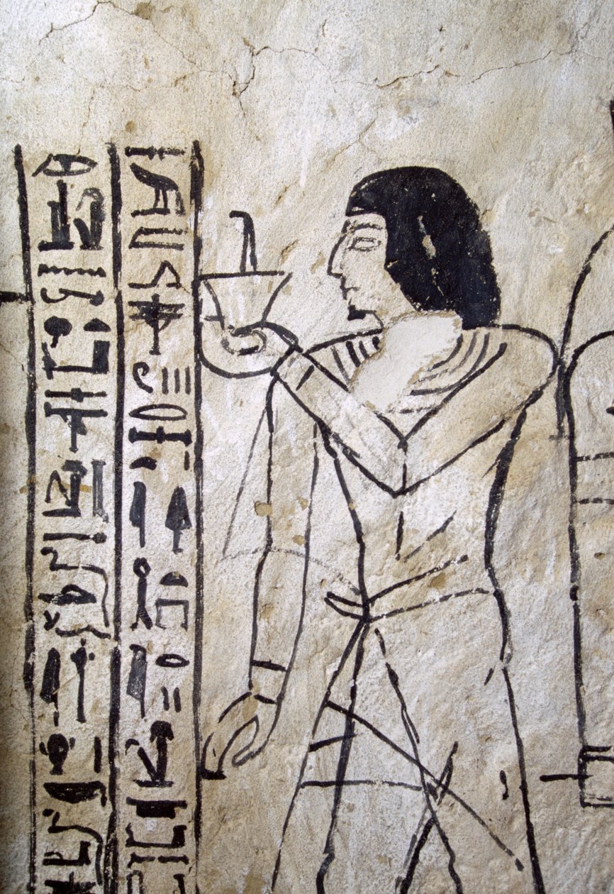 Obrázek knihy mrtvých, Nahtminova hrobka, Abúsír, Egypt, Egyptská civilizace, Nová říše, Dynastie XIX od Egyptian 19th Dynasty