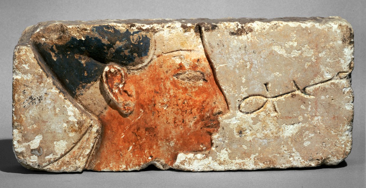 Profil krále, pravděpodobně Ramsese II - Profil faraona Ramsese II. Malovaný vápenec ... od Egyptian 19th Dynasty