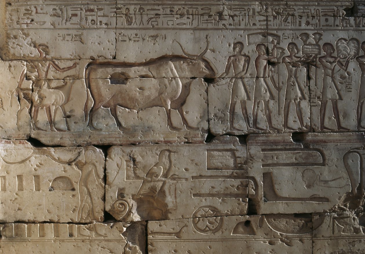 Reliéf, Chrám Ramsese II, Abydos, Egypt, Egyptská civilizace, Nová říše, Dynastie XIX (foto) od Egyptian 19th Dynasty