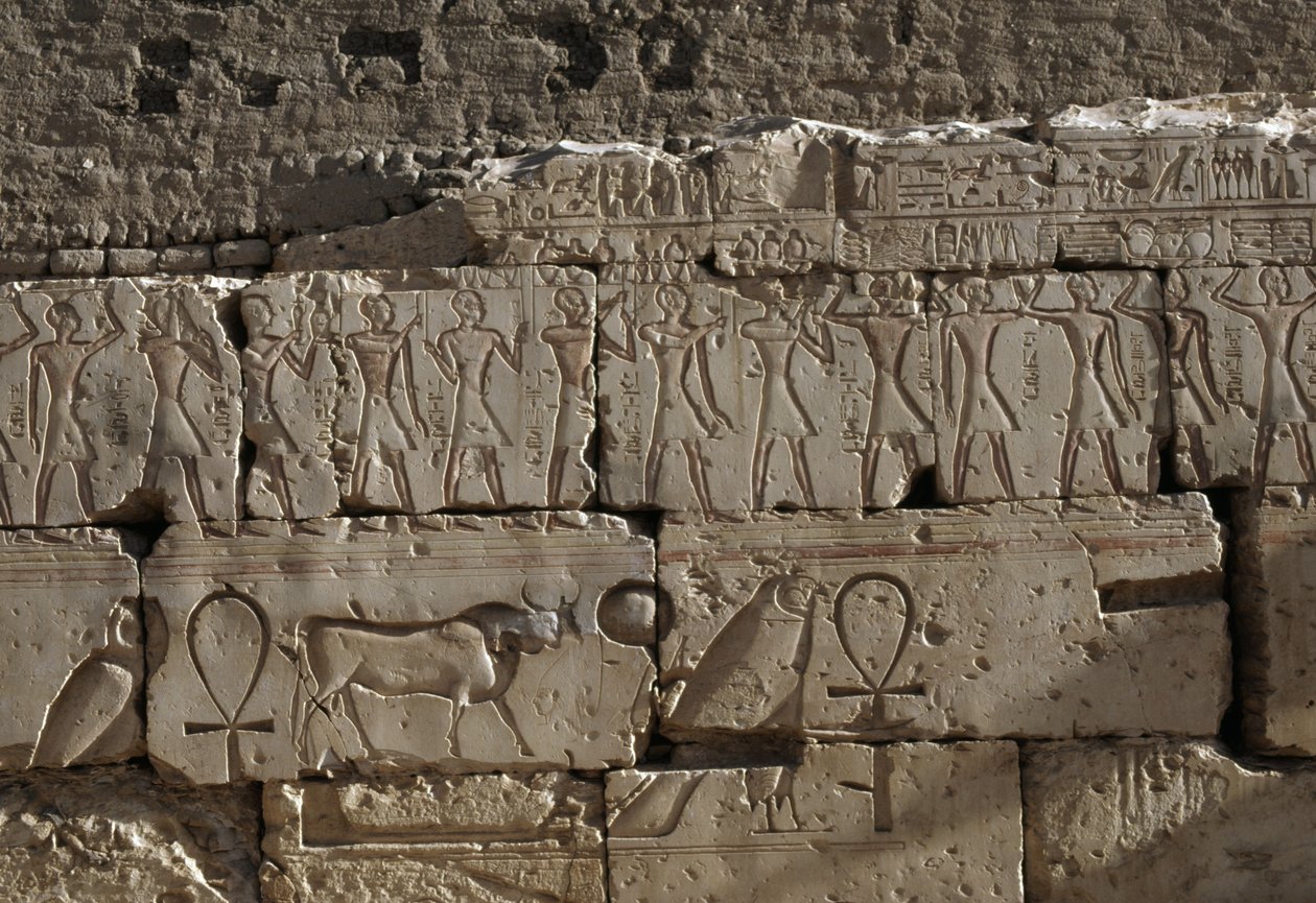 Reliéf, Chrám Ramsese II, Abydos, Egypt, Egyptská civilizace, Nová říše, Dynastie XIX (foto) od Egyptian 19th Dynasty