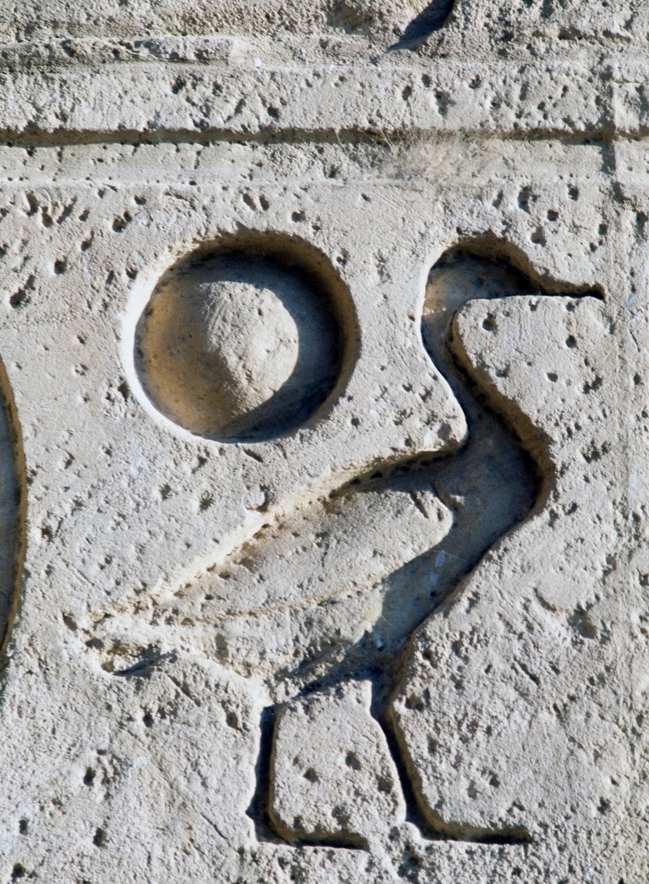 Reliéf zobrazující husu a slunce, symboly faraona k identifikaci syna boha Ra, Velký chrám Ramsese II, Abú Simbel (Seznam světového dědictví UNESCO) od Egyptian 19th Dynasty