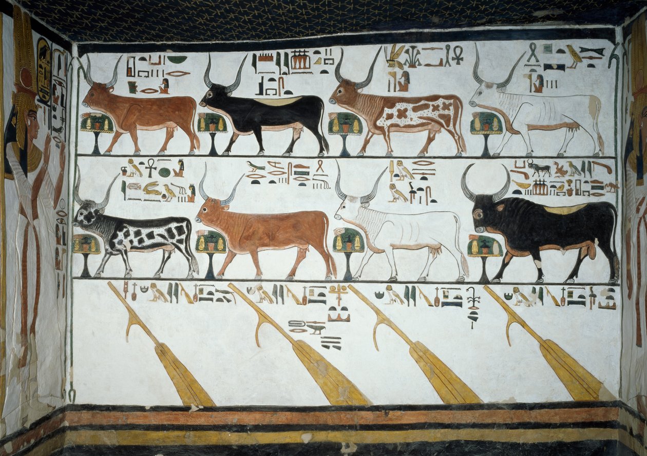 Sedm nebeských krav, býk a čtyři kormidelní vesla, kapitola 148 Knihy mrtvých, detail z fresek v druhé komoře Hrobky Nefertari, Údolí královen, Luxor, Théby. Egyptská civilizace, Nová říše, dynastie XIX. od Egyptian 19th Dynasty