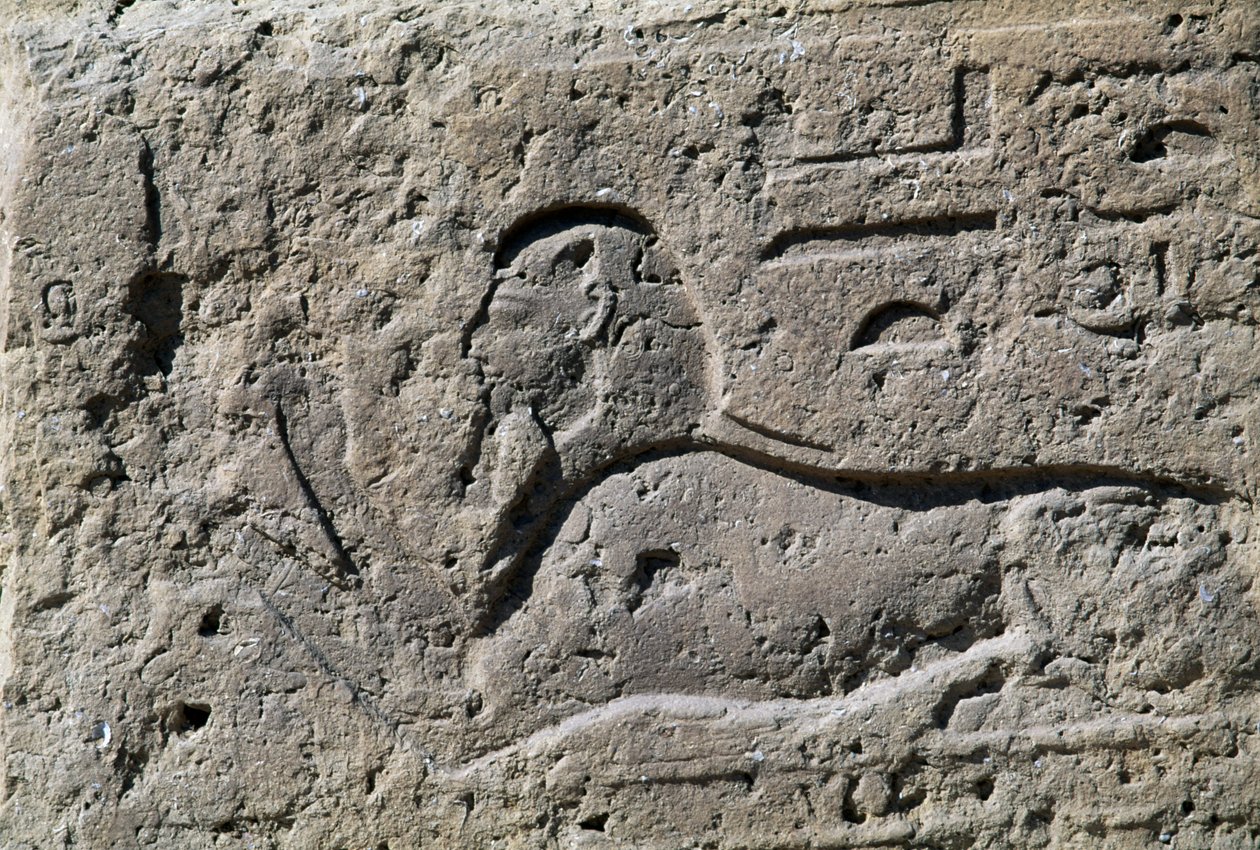 Sfinga, blok s reliéfem, Velký Amonův chrám, Tanis, Egypt, Nová říše, 19. dynastie od Egyptian 19th Dynasty