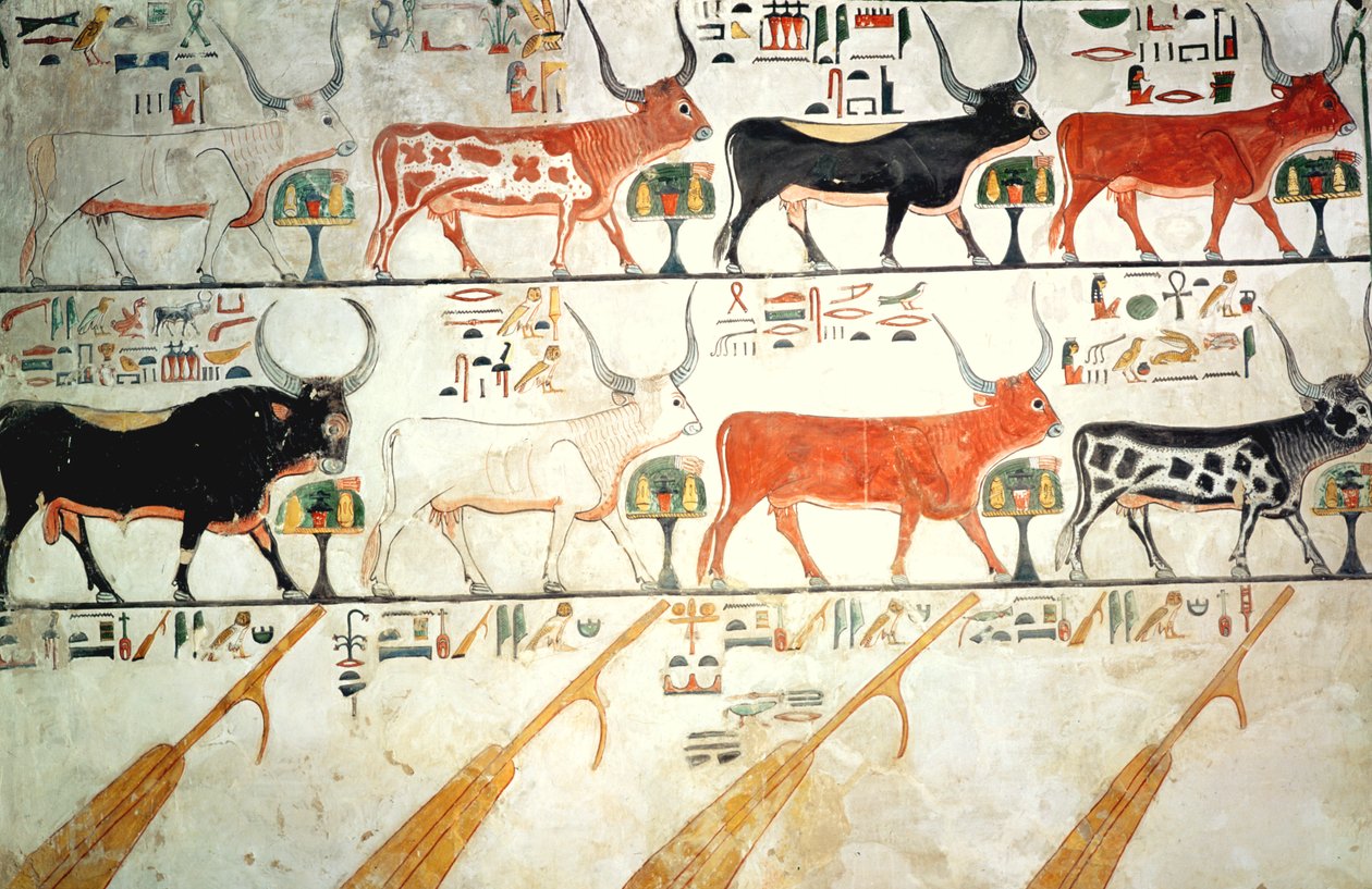 Sedm nebeských krav, posvátný býk a čtyři nebeská kormidla, z Nefertariiny hrobky, Nová říše (nástěnná malba) od Egyptian 19th Dynasty