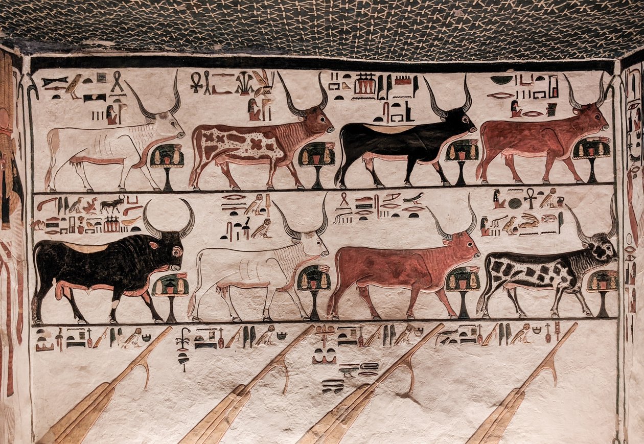 Tomb of Nefertari (nástěnná malba) od Egyptian 19th Dynasty