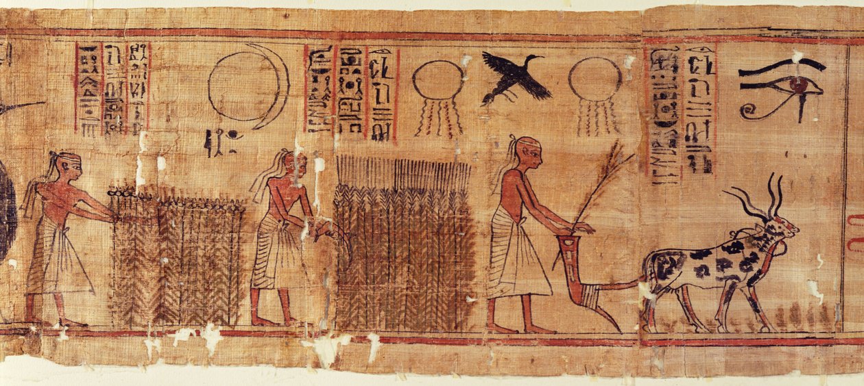 Kniha mrtvých Neb-Hepet, detail polí od Egyptian 21st Dynasty