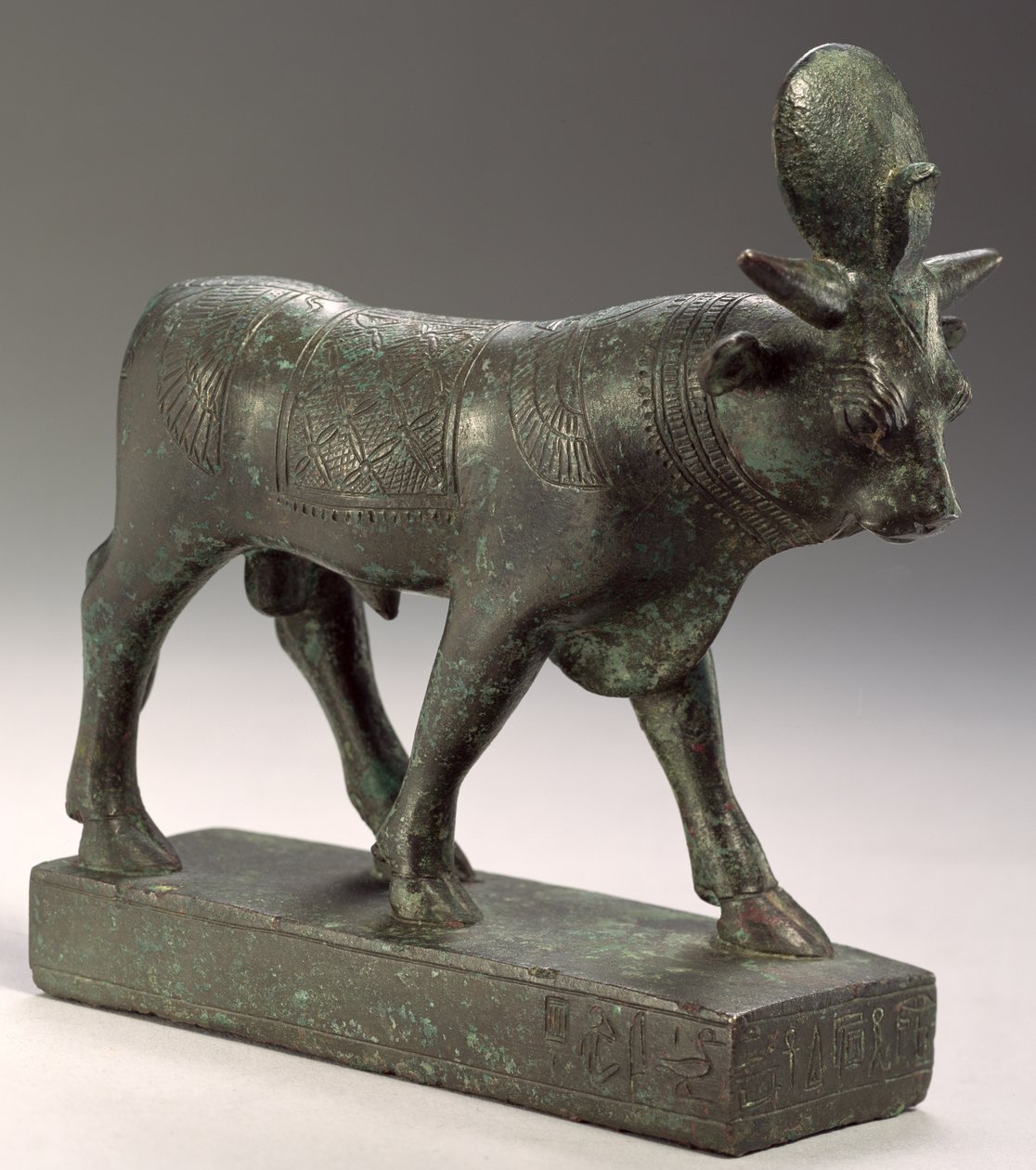 Býk Apis, Pozdní období od Egyptian 26th Dynasty