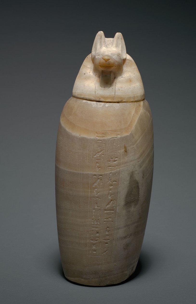 Kanopská nádoba se šakalí hlavou, 664-525 př.nl od Egyptian 26th Dynasty