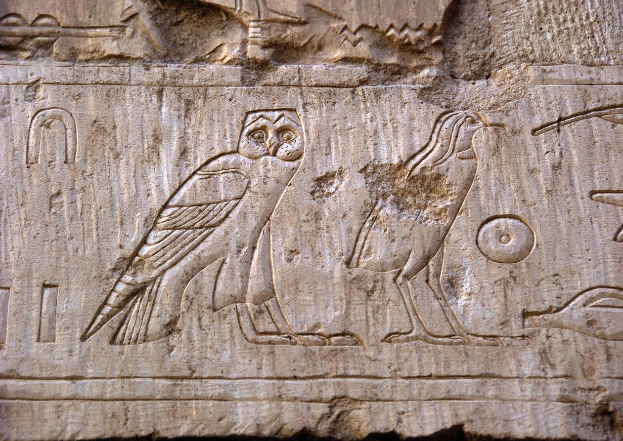 Egyptský starověk: reliéf představující sovu a orla. Hrobka Ankh-Hor (Ankh Hor) (TT414) (26. dynastie, 672-525 př. n. l.), Luxor (Théby), Egypt od Egyptian 26th Dynasty