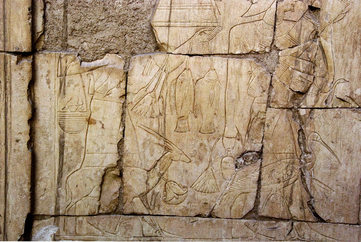 Egyptský starověk: reliéf představující nositele obětin. Hrobka Ankh-Hor (Ankh Hor) (TT414) (26. dynastie, 672-525 př. n. l.), Luxor (Théby), Egypt od Egyptian 26th Dynasty