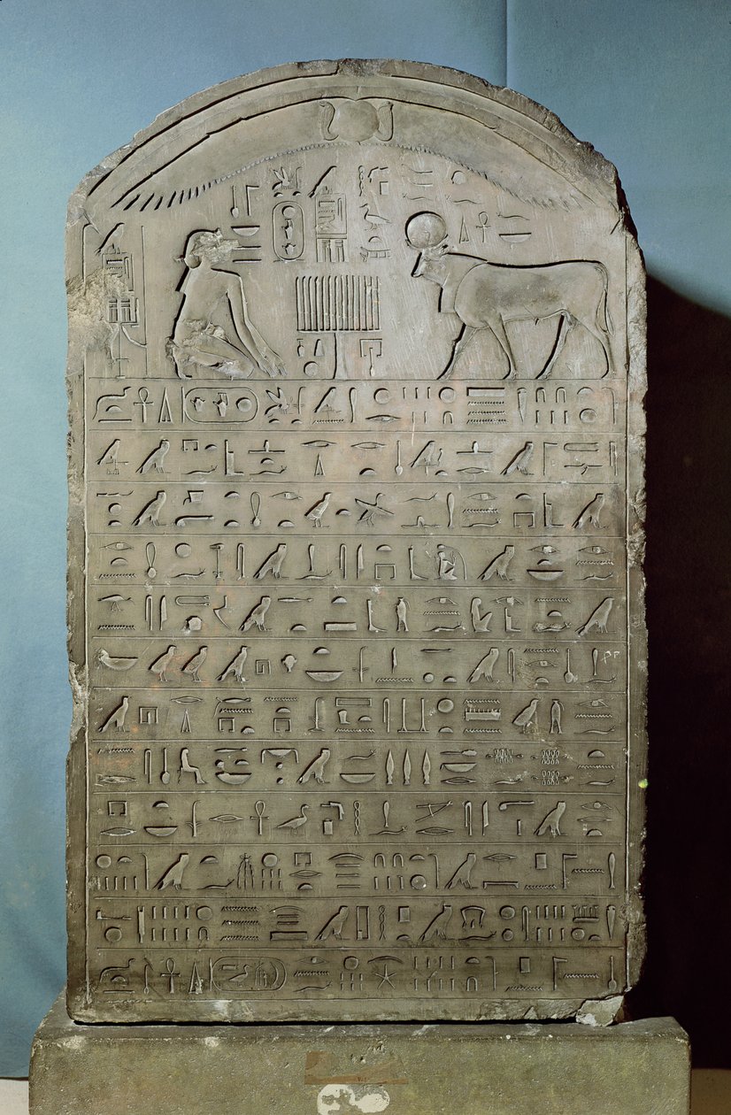 Stela připomínající pohřeb býka Apisa za vlády Ahmose II (Amasis) ze Serapea v Sakkáře, pozdní období, 547 př.nl (vápenec) od Egyptian 26th Dynasty