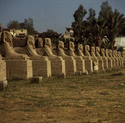 Avenue of Sphinxes, přidal Nectanebo I (380-362 př.nl) Pozdní období od Egyptian 30th Dynasty
