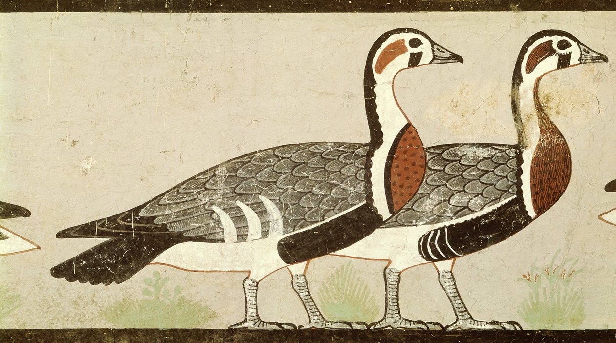 Meidumské husy, z hrobky Nefermaat a Atet, Stará říše, cca 2620 př. n. l. (malovaný štuk) od Egyptian 4th Dynasty