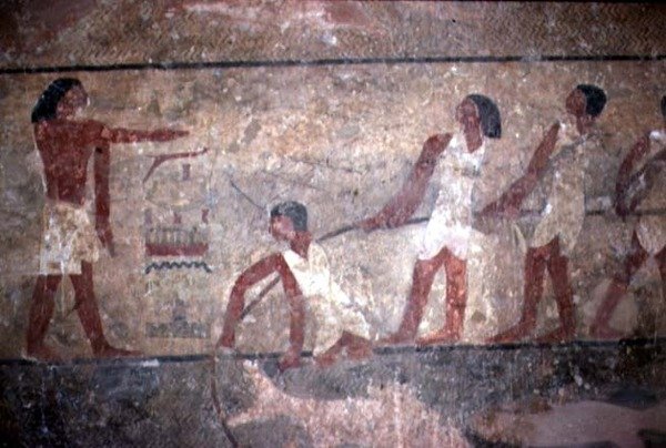 Malba rybářů vytahujících sítě v hrobce Chnumhotepa II., Stará říše, 2600-1500 př. n. l. (nástěnná malba) od Egyptian 4th Dynasty