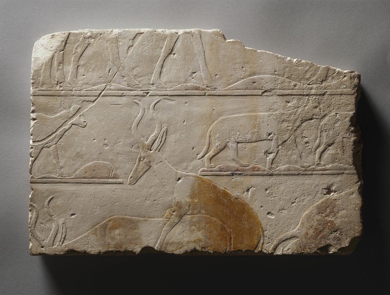 Reliéf s pouštními zvířaty, Stará říše, nalezený v Sakkáře, cca 2472-2455 př. n. l. (malovaný vápenec) od Egyptian 5th Dynasty