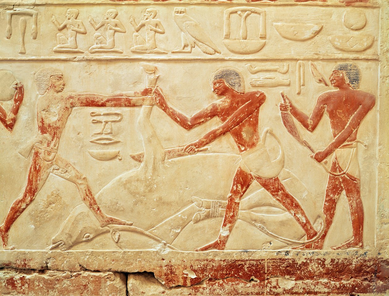 Řezníci porážející vola, reliéf z Hrobky princezny Idut, Stará říše, cca 2330 př. n. l. (malovaný vápenec) od Egyptian 6th Dynasty