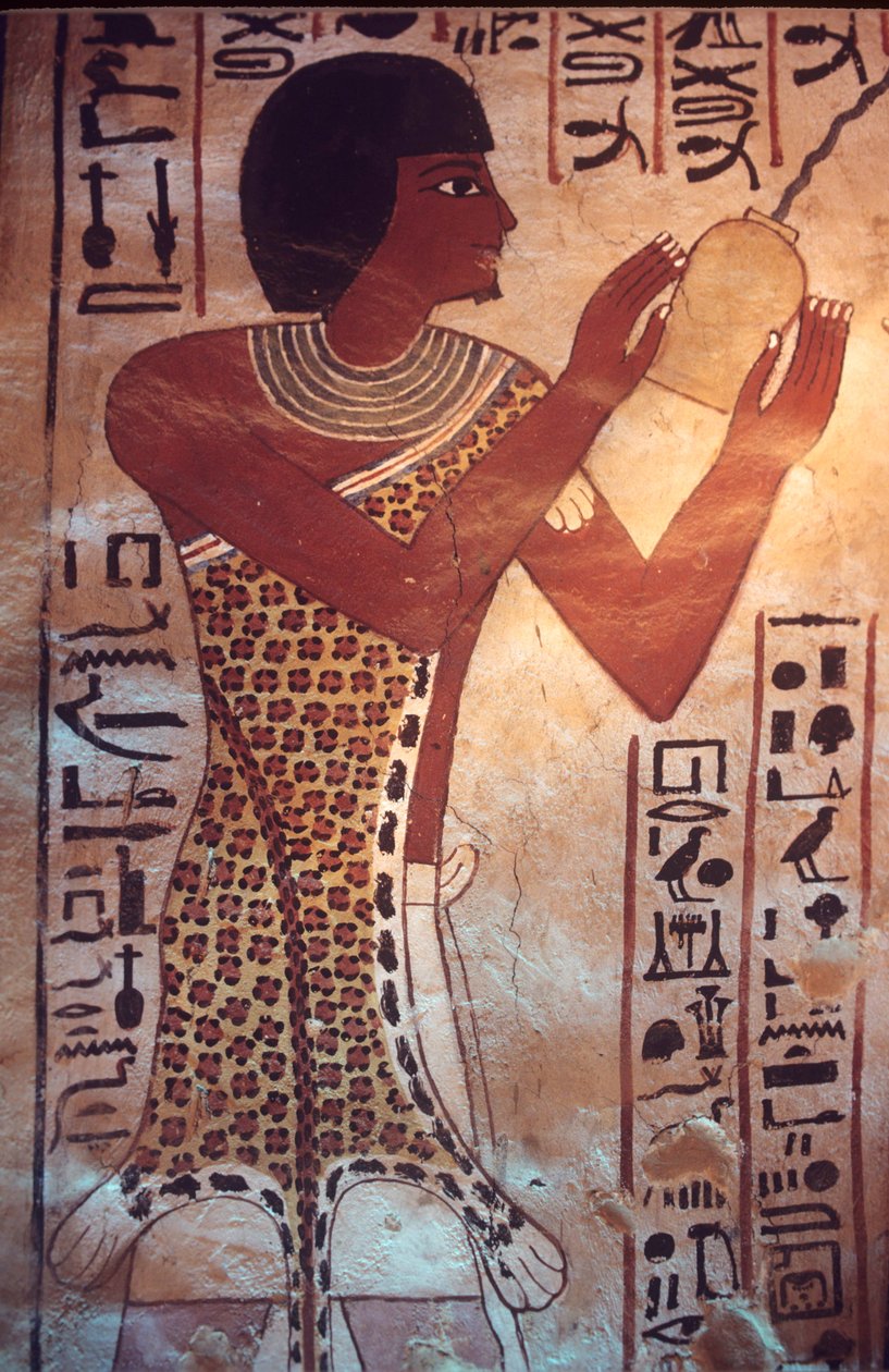 Starověký Egypt, Sennuferova hrobka, Théby, Luxor, Nástěnná malba, freska, nástěnná malba, Sennuferův syn předsedající pohřební hostině, oblečený v rouchu z leopardí kůže od Egyptian Egyptian