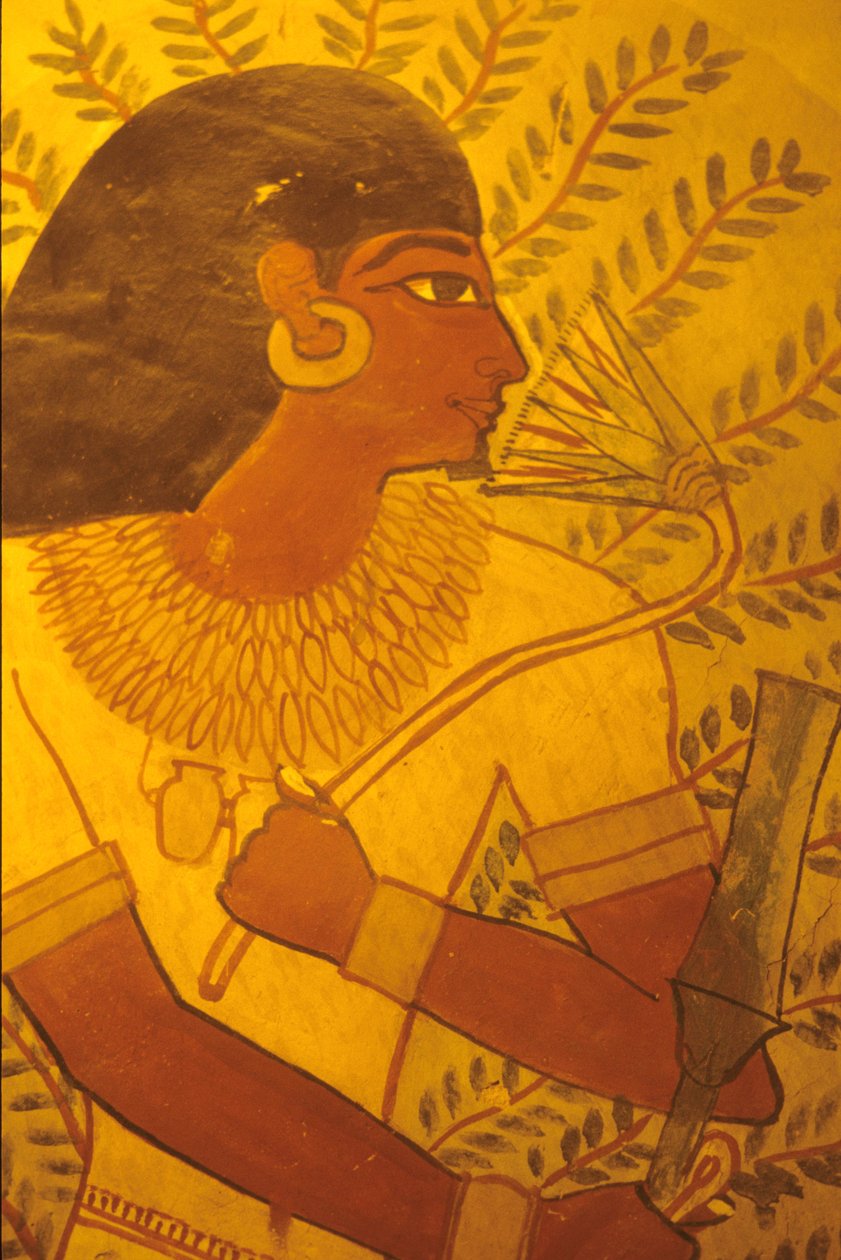 Starověký Egypt, Sennuferova hrobka, Théby, Luxor, Nástěnná malba, nástěnná malba, freska od Egyptian Egyptian