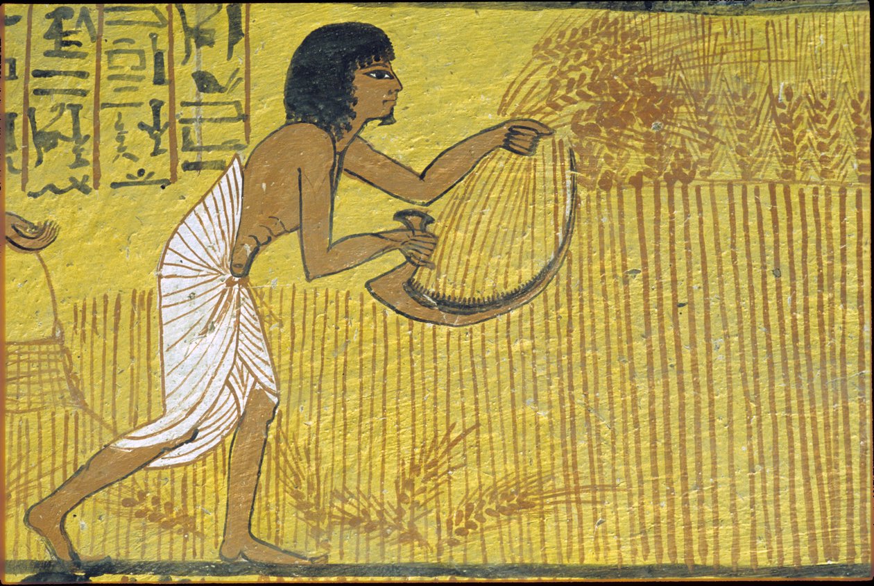 Starověký Egypt, Nástěnná malba, Sennedjemská hrobka, Hrobka šlechticů, Théby, Deir el Medina od Egyptian Egyptian