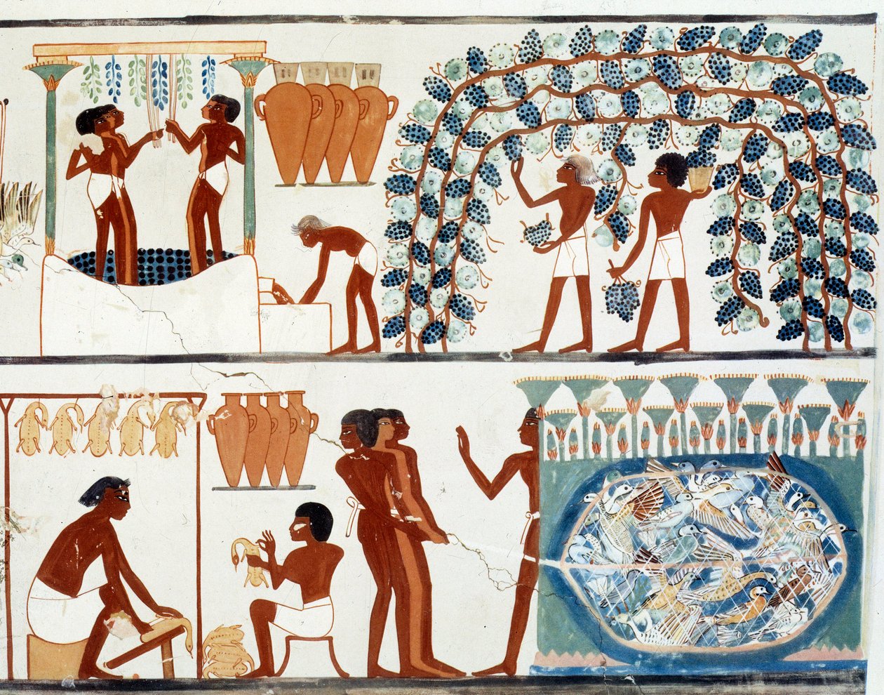 Art Egypt: sběr a šlapání hroznů. Simile College of the Tomb of Nakht, období Amenophis II (asi 1450-1425 př. n. l.) Paříž, College De France od Egyptian Egyptian