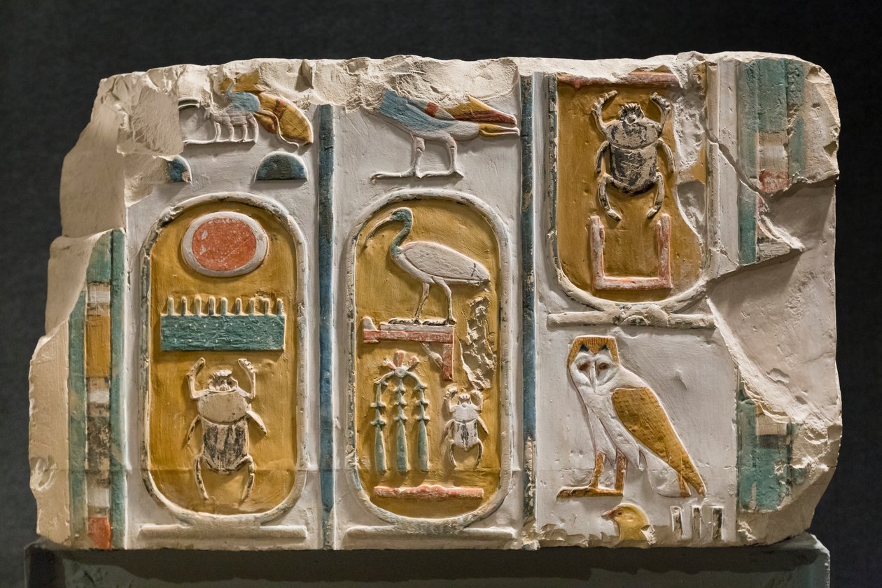 Vyřezávaná stěna představující tři kartuše krále Thutmose I. a III od Egyptian Egyptian