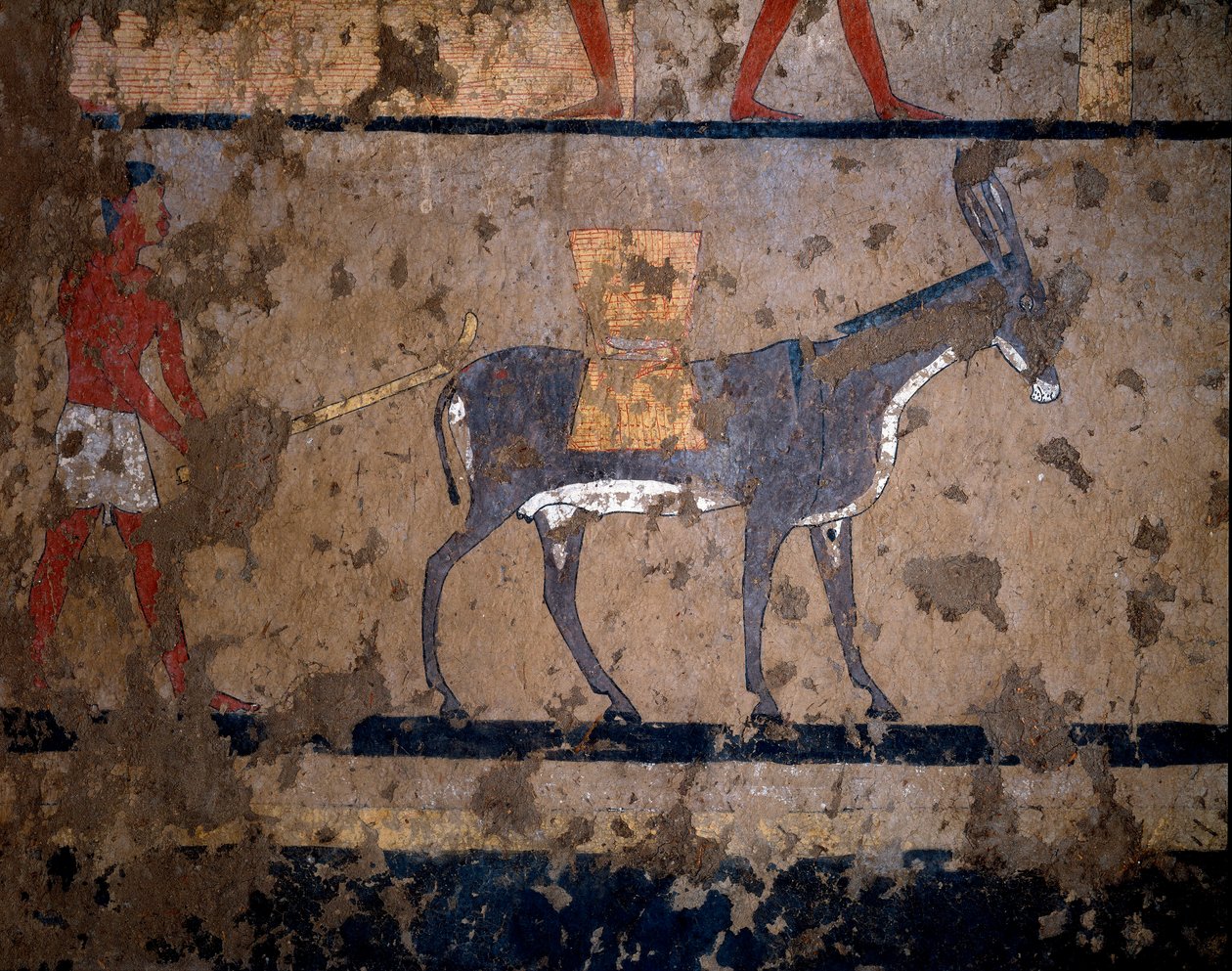 Egyptský starověk: „“přeprava obilí na hřbetě mezka“““ Temperová malba stěny hrobky kancléře krále Itiho (nebo Ityho) 2200-2000 př. Kr. Z El Ghebelen, Luxor. Turín, egyptské muzeum od Egyptian Egyptian