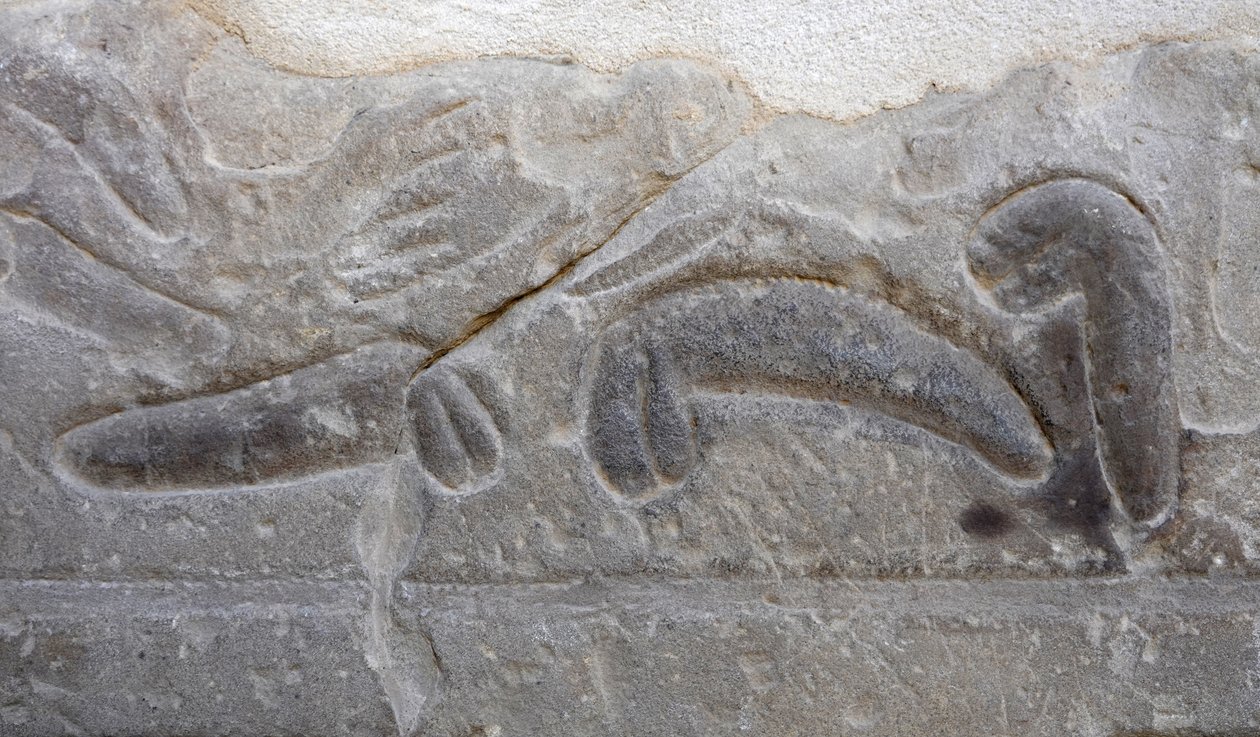 Hromady mužských genitálií uříznutých nepřítelem, Hořův chrám, Edfu od Egyptian Egyptian