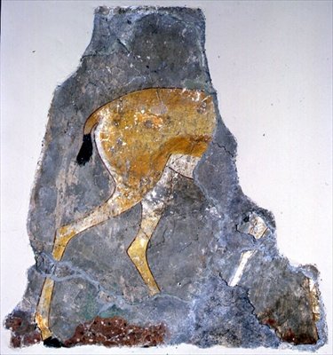 Fragment obrazu gazely od Egyptian Egyptian