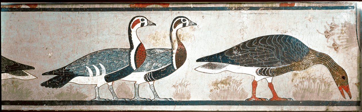 Husy, detail panelu z Mastaby z Itetu, manželky Nefermaat, Meidoum (malovaný vápenec) od Egyptian Egyptian