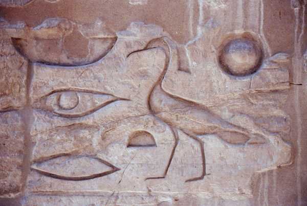 Hieroglyfy ze sloupu, Luxorský chrám (foto) od Egyptian Egyptian