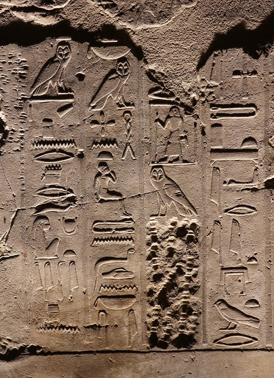 Hieroglyfy. Luxorský chrám (reliéf) od Egyptian Egyptian
