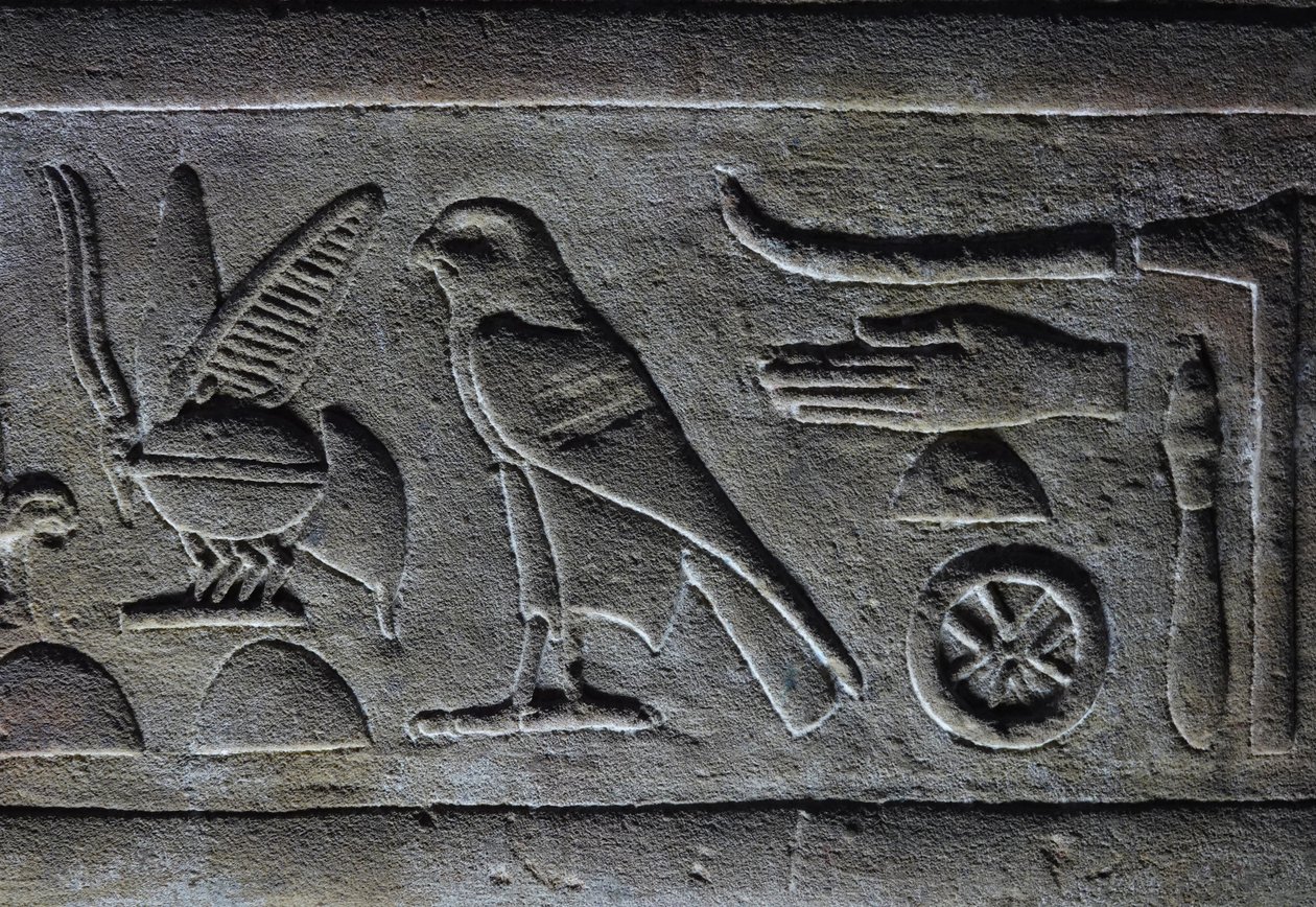 Hieroglyps, Faraonova včela a Horův sokol, Horův chrám, Edfu od Egyptian Egyptian