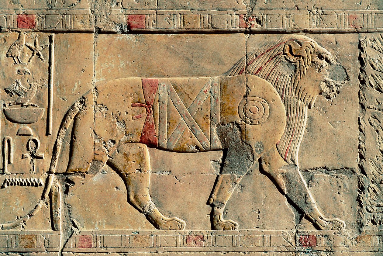 Lev, Senenmut, Chrám Hatšepsut, Dayr al-Bahri, Egypt od Egyptian Egyptian