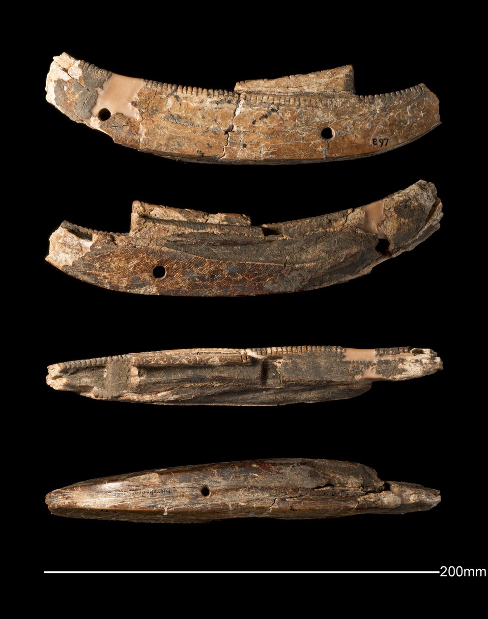 Model lodi, Hierakonpolis, rané dynastické období (asi 2950 - asi 2575 př. n. l.) (vyřezávaná slonovina) od Egyptian Egyptian