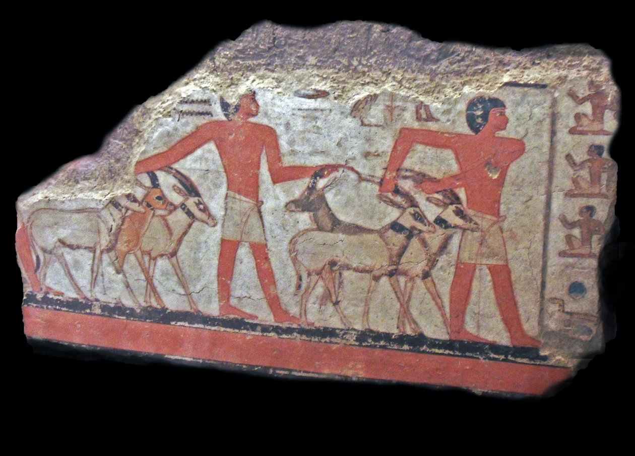pouště (oryx, gazely) jsou přivedeny před Metchetcha. Staroegyptská nástěnná malba od Egyptian Egyptian