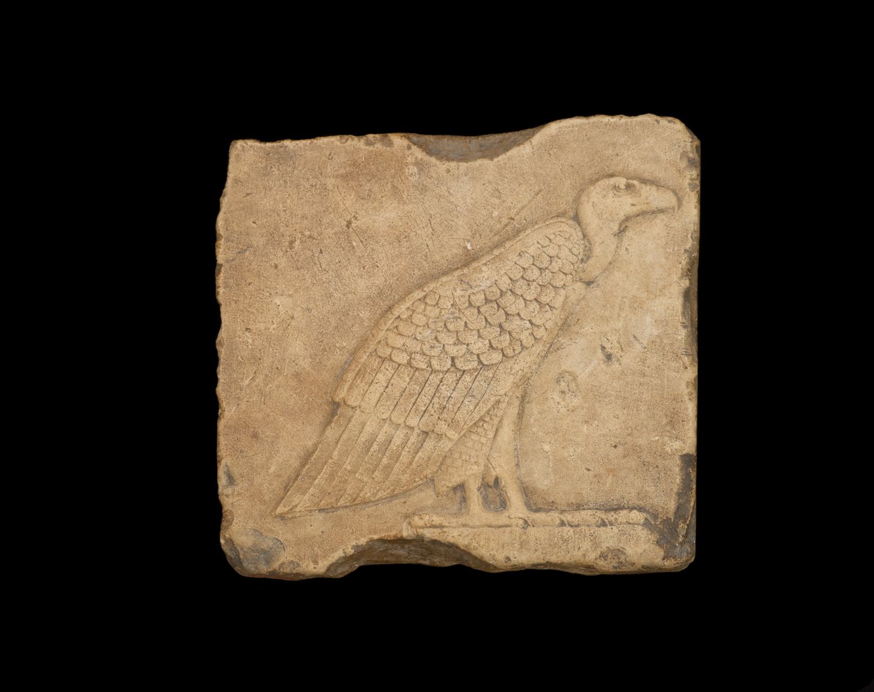 Kvádr se stojícím supem na jedné straně a se sovou na druhé straně, obojí v nízkém reliéfu, ptolemaiovské období, 305-30 př. n. l. (vápenec) od Egyptian Ptolemaic Period
