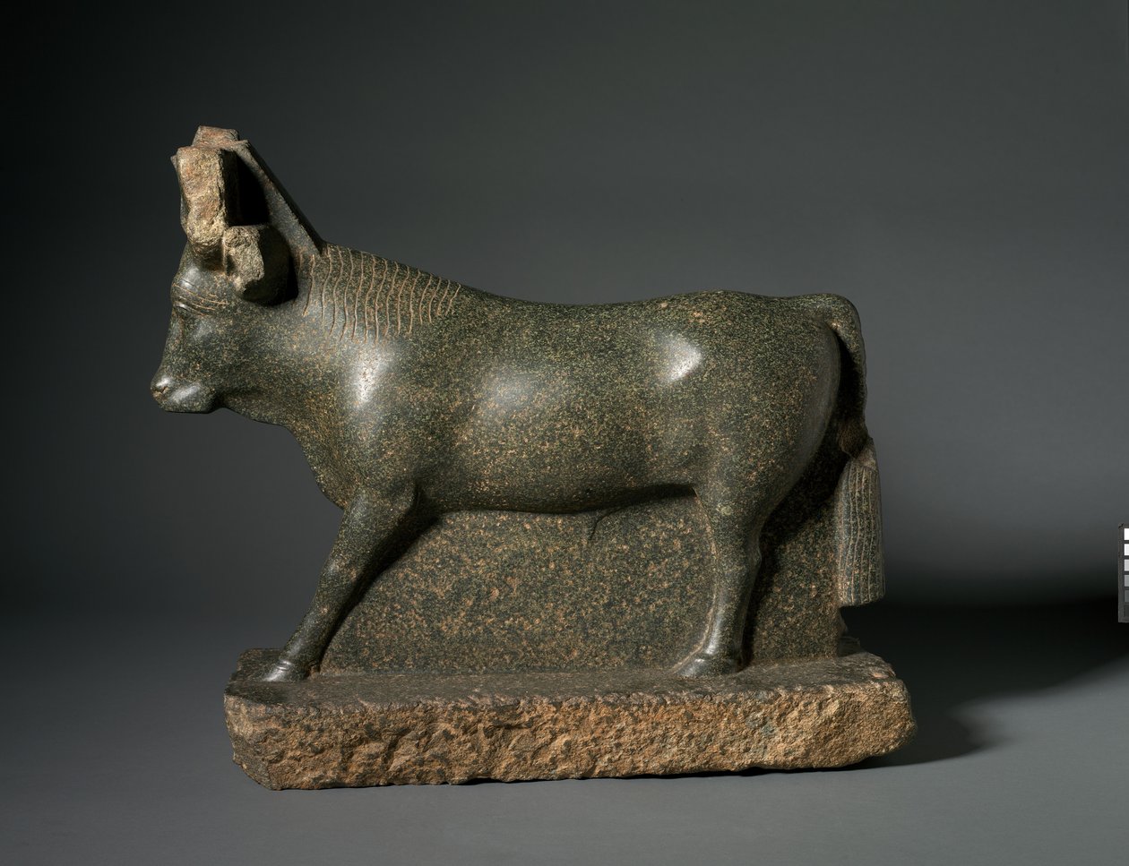 Apis Bull, 400-100 př.nl (serpentinit) od Egyptian Ptolemaic Period