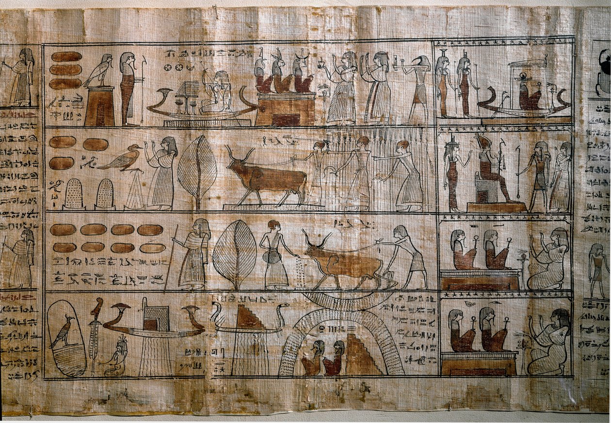 Závěsný od Egyptian Ptolemaic Period