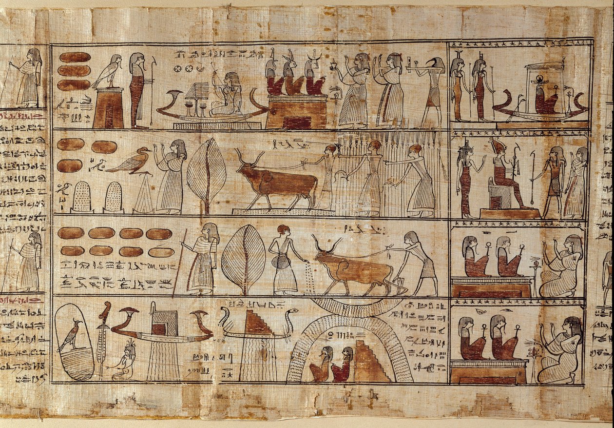 Egyptská antikitida: Elysejská pole. Malba na papyru z Knihy mrtvých. Ptolemaiovské období Turín, Egyptské muzeum - Starověký Egypt: Elysejská pole. Malba na papyru z Knihy mrtvých. Ptolemaiovské období. Egyptské muzeum, Turín, It od Egyptian Ptolemaic Period