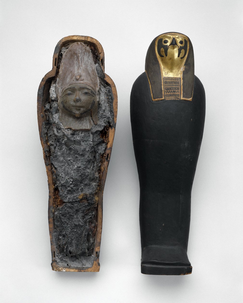 Rakev ve tvaru sokola s mumií zrna, 332–30 př. n. l. (malované a zlacené dřevo, obilí, zemina, len a vosk) od Egyptian Ptolemaic Period
