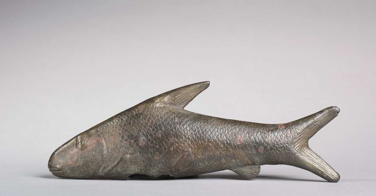 Ryba Lepidotus, řecko-římské období, 305-30 př.nl od Egyptian Ptolemaic Period