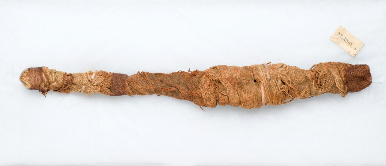 Mumie krokodýla, nalezená v Manfalontu, 305-30 př.nl (pozůstatky zvířat a prádlo) od Egyptian Ptolemaic Period