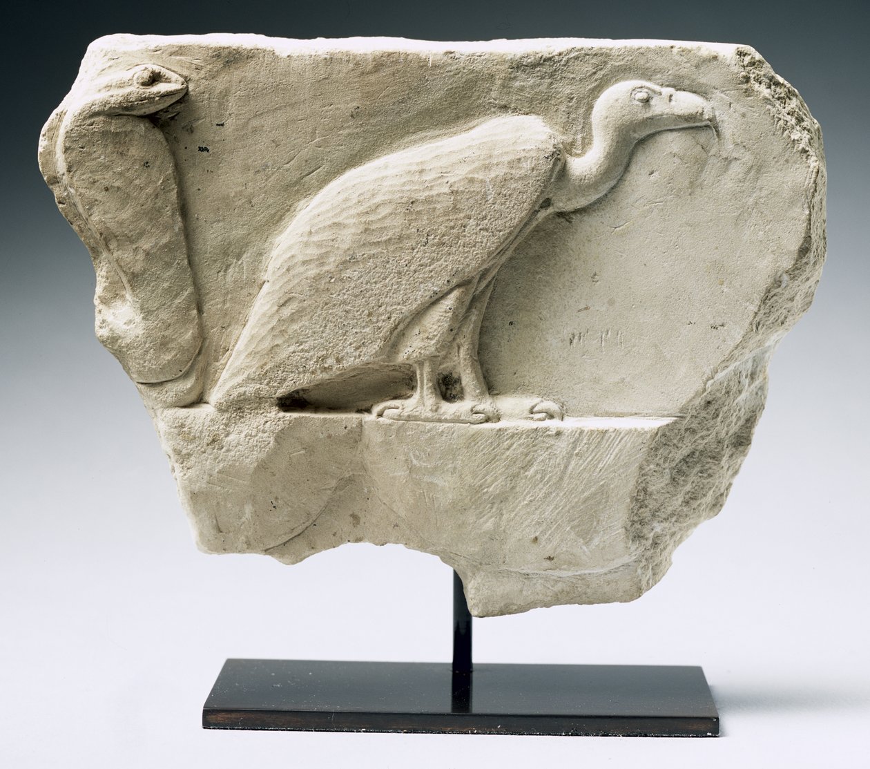 Reliéf zobrazující supa a kobru (vápenec) od Egyptian Ptolemaic Period