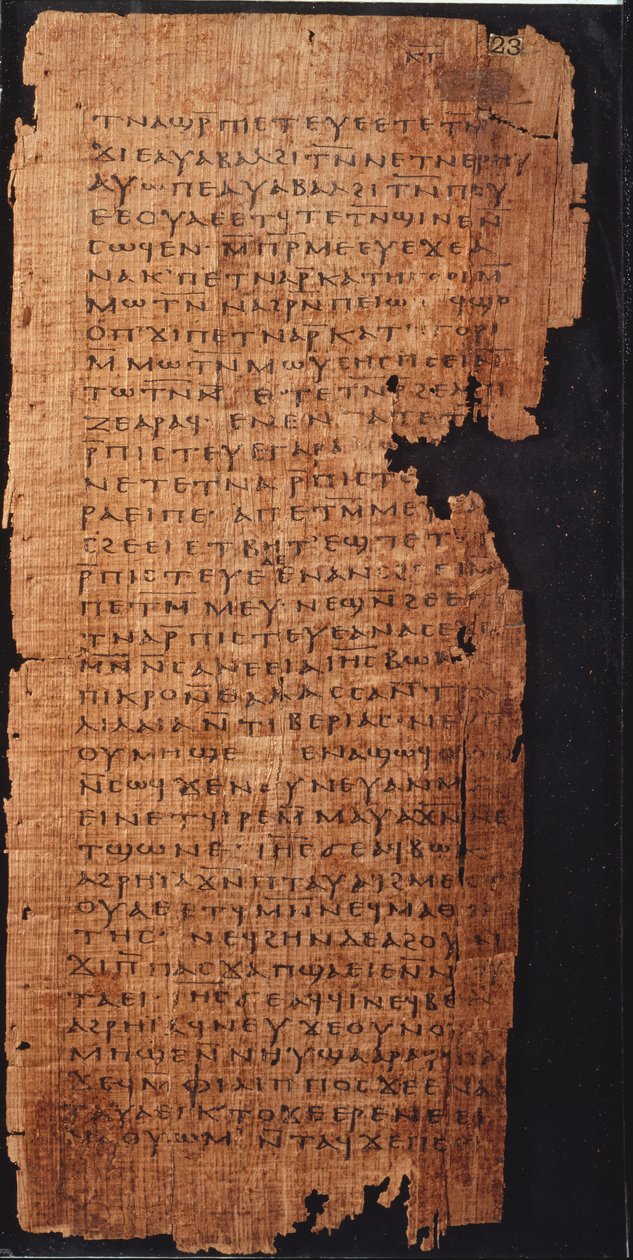 Stránka z evangelia svatého Jana od Egyptian School
