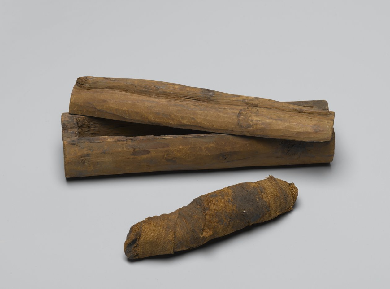 Malá rakev hada, s mumií, 664 př. n. l. – 322 př. n. l. (dřevo, zbytky zvířat a len) od Egyptian School