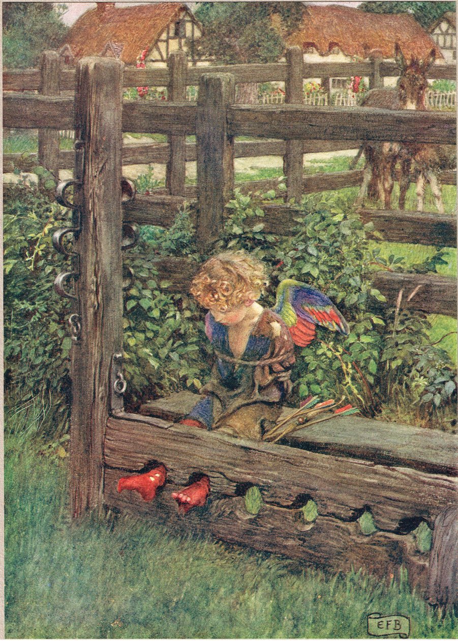 Ilustrace z 
