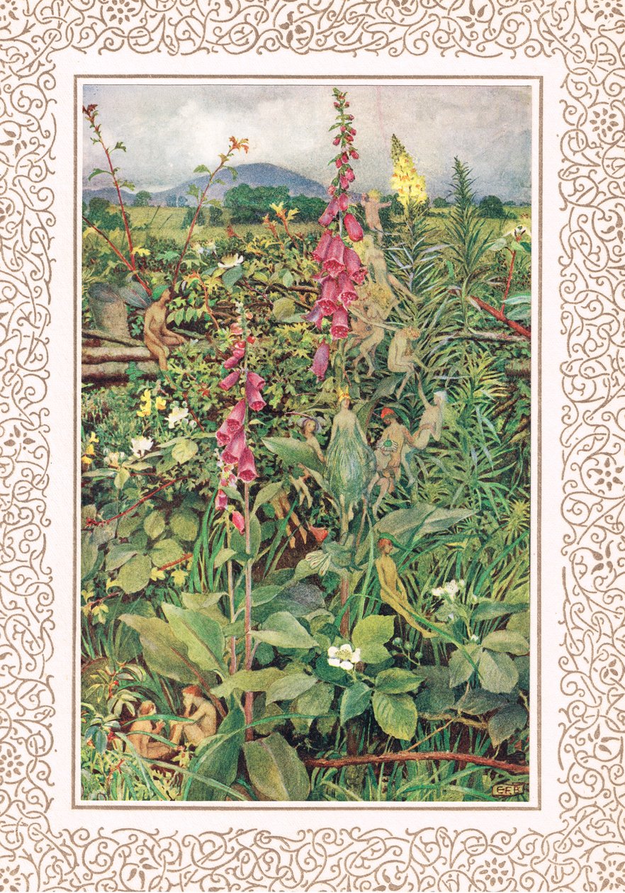 Naues Fairies between Foxgloves, ilustrace z 