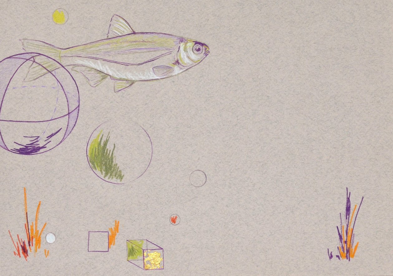 Floating, 2014 (akvarelová tužka a plátkové zlato na papíře) od Eleanor Grafton